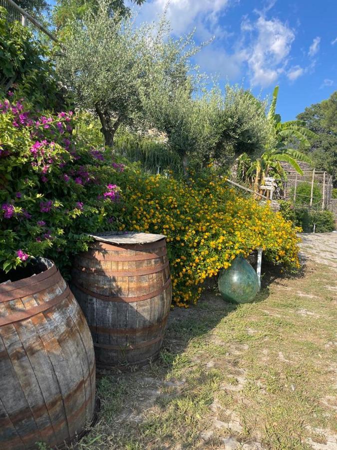 B&B Sunset Ercolano Exterior foto